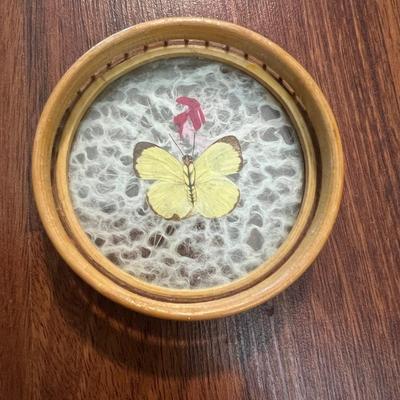 !RATTAN BUTTERFLY COASTER SET