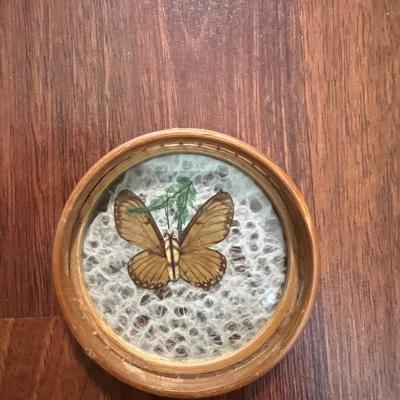 !RATTAN BUTTERFLY COASTER SET
