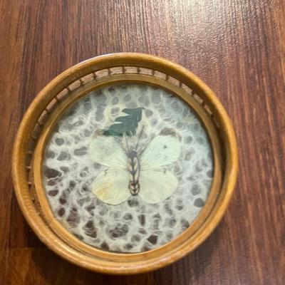 !RATTAN BUTTERFLY COASTER SET