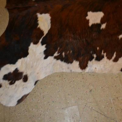 LOT 470. COWHIDE RUG
