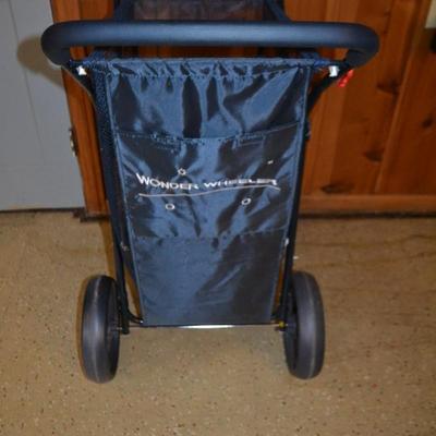 LOT 489. WONDER WHEELER BEACH SAND CART