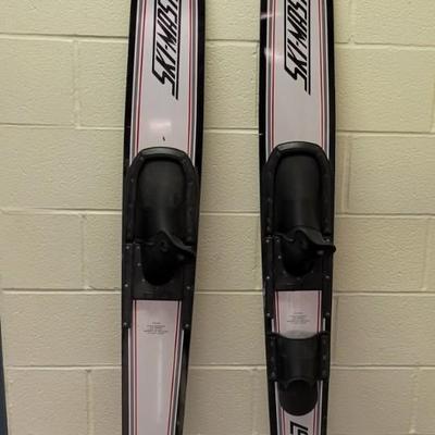 Ski-Master Skis