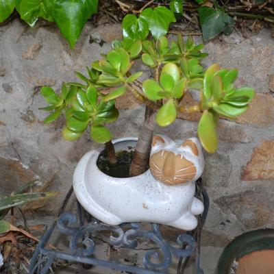 LOT 603. LIVE PLANTS AND YARD DECOR