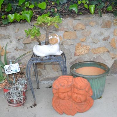 LOT 603. LIVE PLANTS AND YARD DECOR