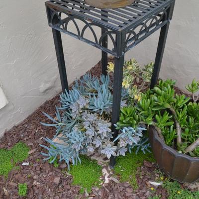 LOT 697. LIVE PLANTS IN PLASTIC POTS + PLANT STAND