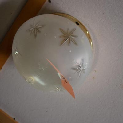 Vintage Frosted Glass Light Fixture
