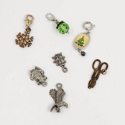 7 PC MULTI STYLE CHARMS