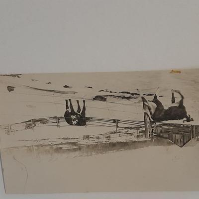 Antique Black & White Western post cards Cowboys, Montana, Nunn's and more