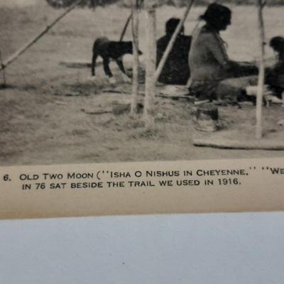 Antique black & White post cards of Native American Chiefs, Bison, and more Huffman