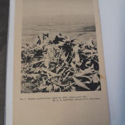 Antique black & White post cards of Native American Chiefs, Bison, and more Huffman