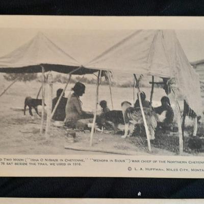 Antique black & White post cards of Native American Chiefs, Bison, and more Huffman