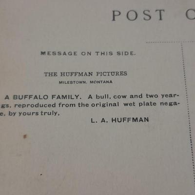 Antique black & White post cards of Native American Chiefs, Bison, and more Huffman