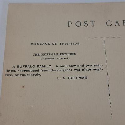 Antique black & White post cards of Native American Chiefs, Bison, and more Huffman
