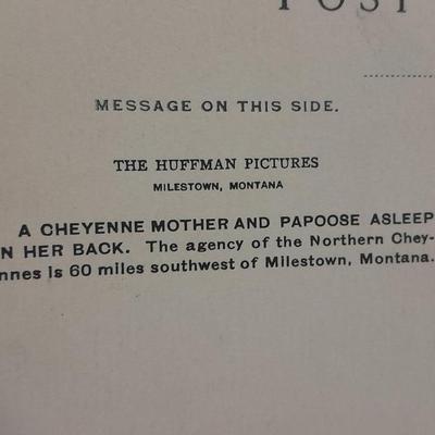 Antique black & White post cards of Native American Chiefs, Bison, and more Huffman