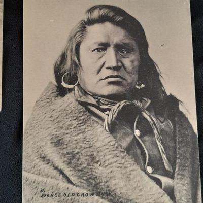 Antique black & White post cards of Native American Chiefs, Bison, and more Huffman