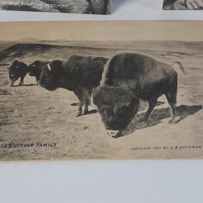 Antique black & White post cards of Native American Chiefs, Bison, and more Huffman