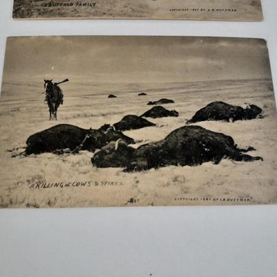 Antique black & White post cards of Native American Chiefs, Bison, and more Huffman