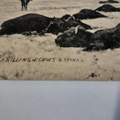 Antique black & White post cards of Native American Chiefs, Bison, and more Huffman