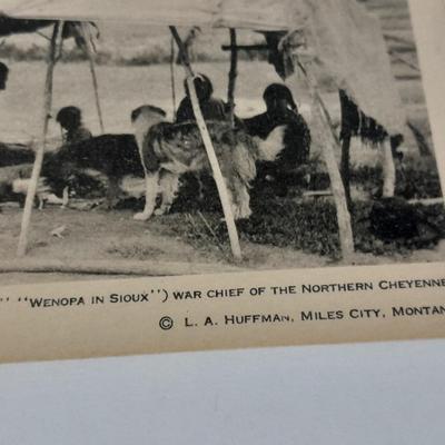 Antique black & White post cards of Native American Chiefs, Bison, and more Huffman