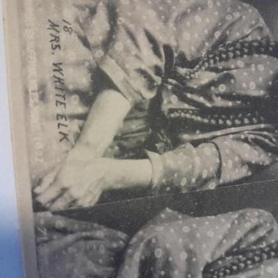 Antique black & White post cards of Native American Chiefs, Bison, and more Huffman