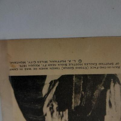 Antique black & White post cards of Native American Chiefs, Bison, and more Huffman