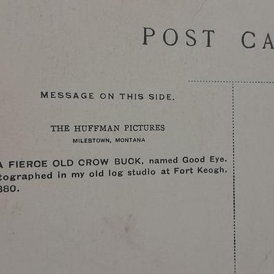 Antique black & White post cards of Native American Chiefs, Bison, and more Huffman