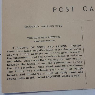 Antique black & White post cards of Native American Chiefs, Bison, and more Huffman