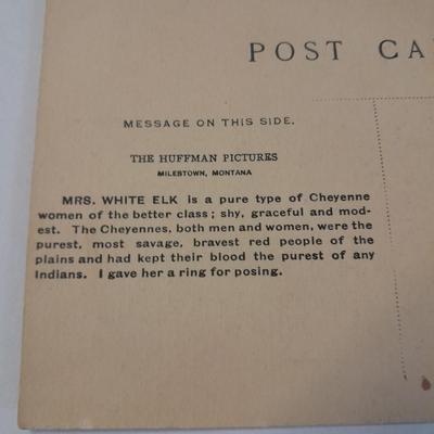 Antique black & White post cards of Native American Chiefs, Bison, and more Huffman