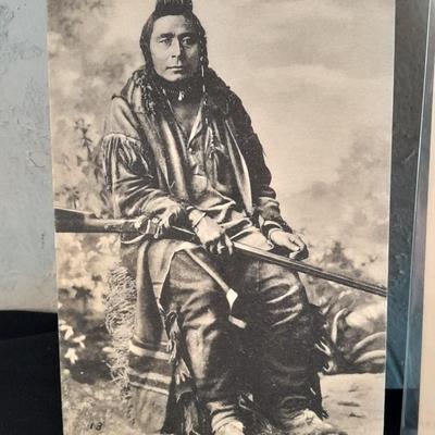 Antique black & White post cards of Native American Chiefs, Bison, and more Huffman
