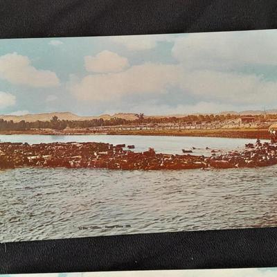 Vintage Color postcards International the Huffman Pictures of the Old West, Cowboy's, Native American's