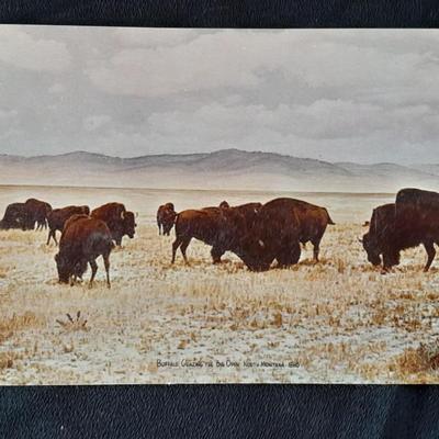 Vintage Color postcards International the Huffman Pictures of the Old West, Cowboy's, Native American's