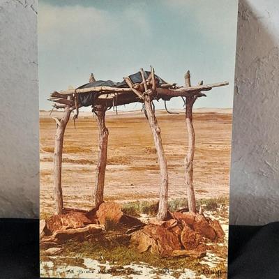 Vintage Color postcards of Native American's and Buffalo Sioux Grave, and more