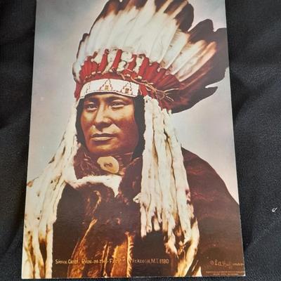 Vintage Color postcards of Native American's and Buffalo Sioux Grave, and more