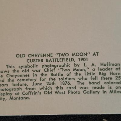 Vintage Color postcards of Native American's and Buffalo Sioux Grave, and more