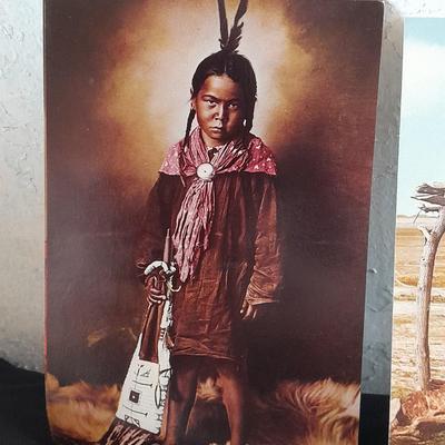 Vintage Color postcards of Native American's and Buffalo Sioux Grave, and more