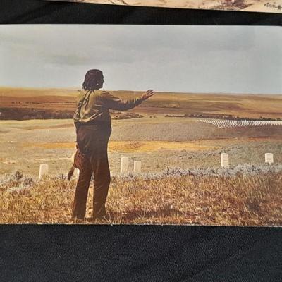 Vintage Color postcards of Native American's and Buffalo Sioux Grave, and more