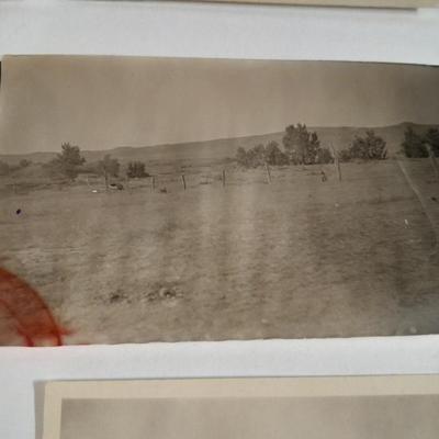 Antique black and white postcards Western Ranch life, and people