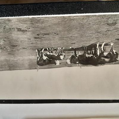 Antique black and white postcards Western Ranch life, and people