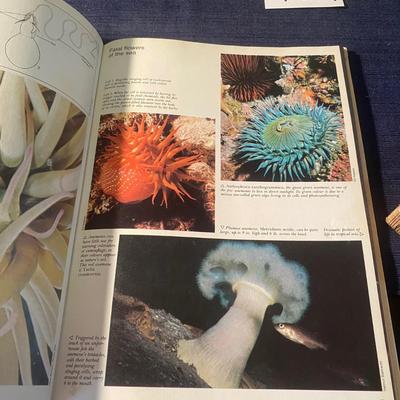 Vintage Encyclopedias
