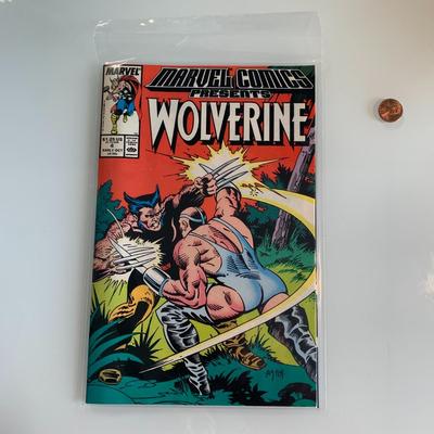 #250 Marvel Comics: Wolverine #4
