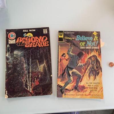 #450 Vintage Comics: Beyond The Grave & Believe It or Not Ghost Stories