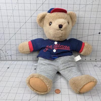 #693 Indians Team Baseball Bear