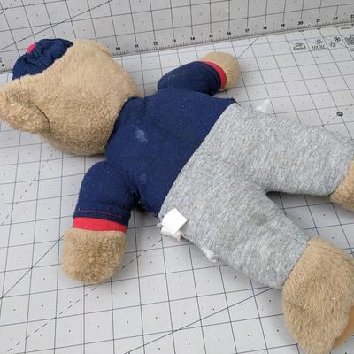 #693 Indians Team Baseball Bear