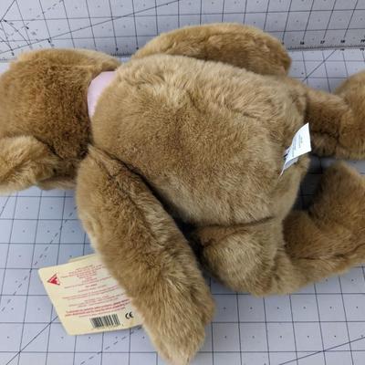#716 Bears For A Cause Breast Cancer Teddy Bear