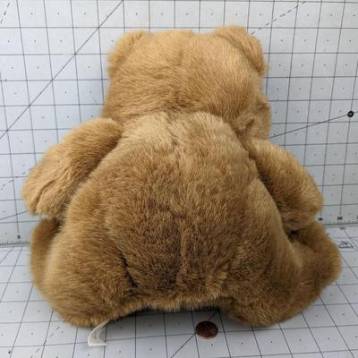 #733 Tan Stuffed Bear