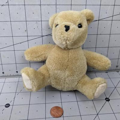 #753 Gund Small Teddy Bear