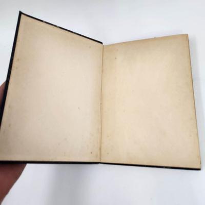 1927 AndeflÃ¤ktar by FRANK MANGS WRITTEN IN DUTCH PAPERBACK