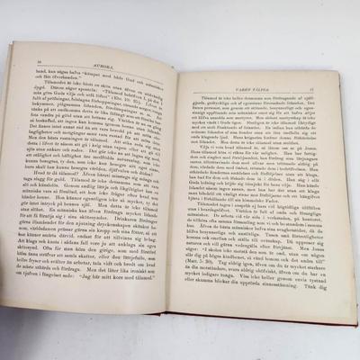 1904 AURORA by KRISTLIG KALENDER (DUTCH ?) PAPERBACK BOOK