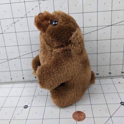 #772 Little Stuffed Brown Bear