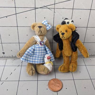 #774 Mini Teddy Bears